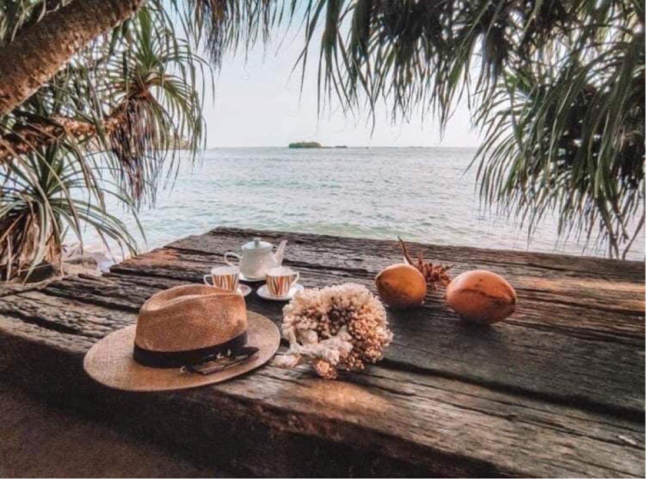 Ocean Beach House ماتارا المظهر الخارجي الصورة